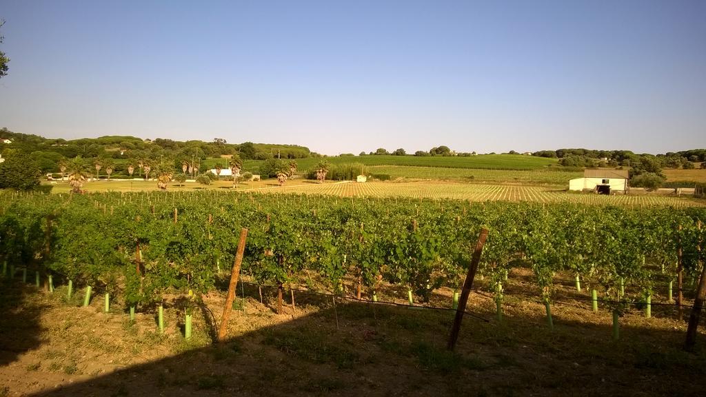 Pensjonat Casa Castanhos Vila Fresca Zewnętrze zdjęcie